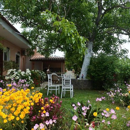 Mina'S Serene Garden House Kontokali Luaran gambar